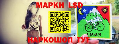 дмт Кингисепп