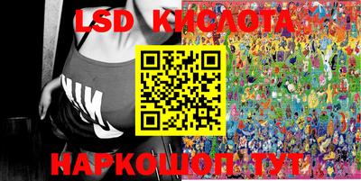 дмт Кингисепп