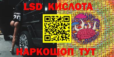 Альфа ПВП Кимры