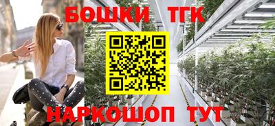 дмт Кингисепп