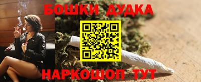 дмт Кингисепп