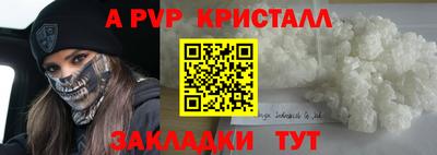 дмт Кингисепп