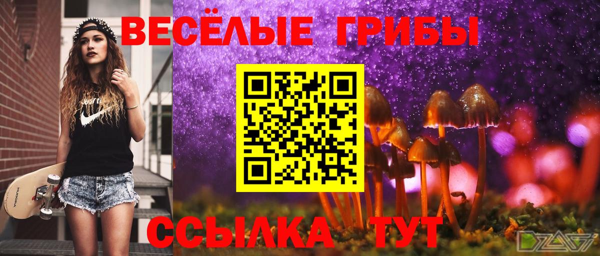 Галлюциногенные грибы мицелий  Вход с VPN  Калач-на-Дону 